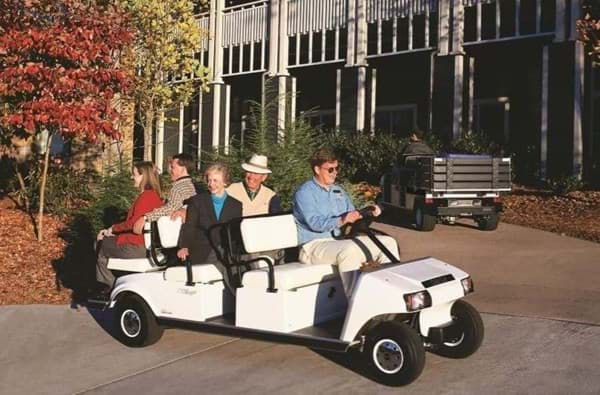 Bild von 2001-2003 - Club Car, Tourall, Resort Villager, Transporter, Transsender - Electric & Gasoline (102189903)