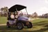 Picture of 2021 - Club Car, Tempo connect & 2+2 - Gasoline & electric (86753090081), Picture 1